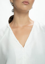 Ruffled V-Neck Top